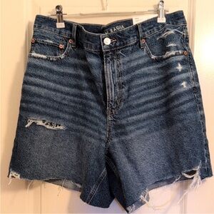 American Eagle Outfitters Distressed Blue Jean Shorts